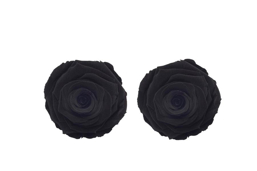 Rose stabilisiert H 5,5 cm D 5,5 cm Schwarz NETTO