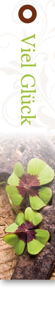 Geschenkkärtchen Viel Glück 3x15 cm