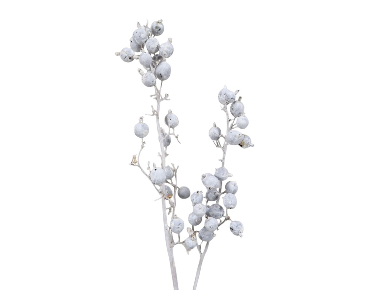Schwarzbeerenzweig white washed