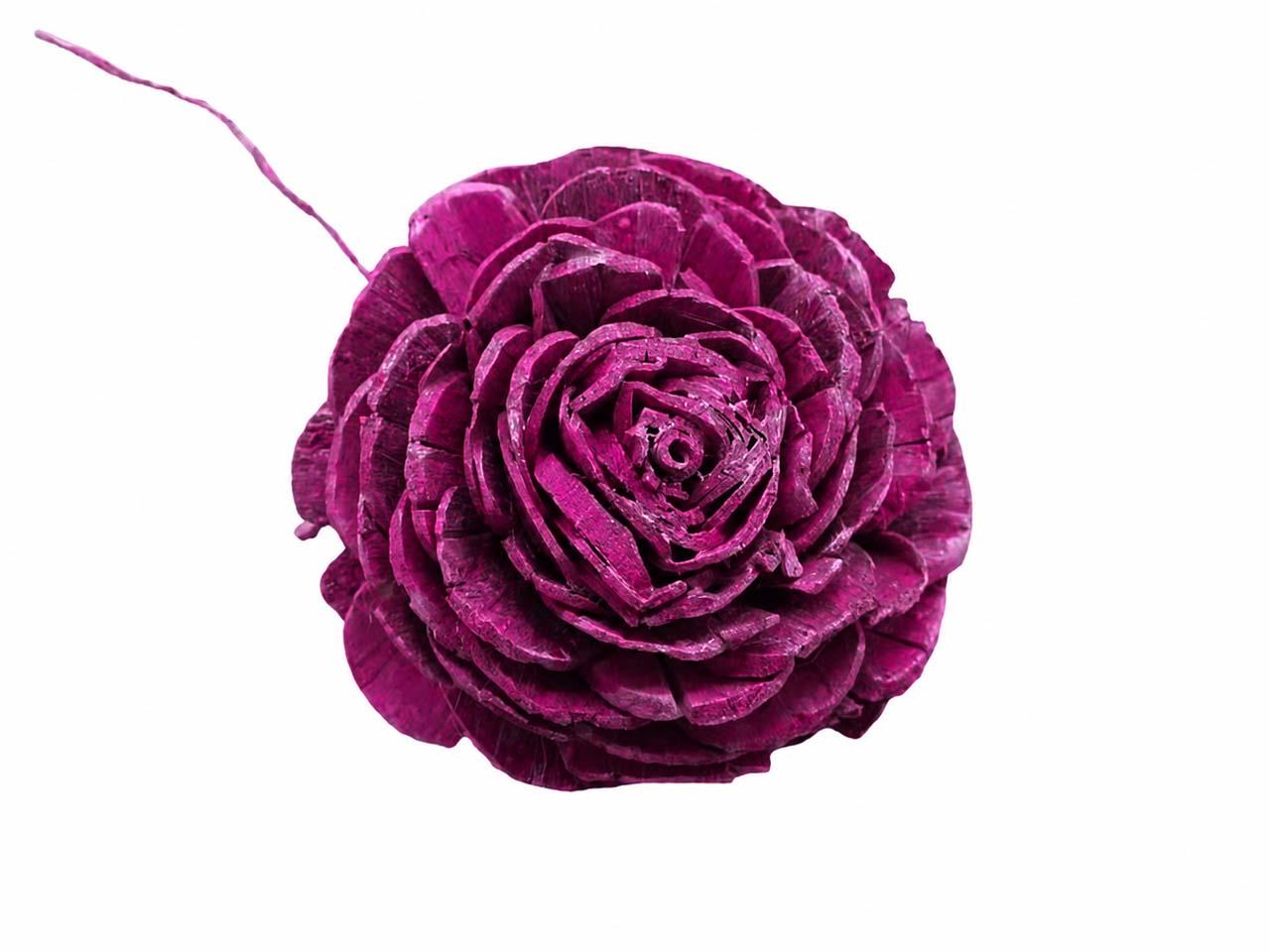 Rose Sola am Draht D10cm brombeer