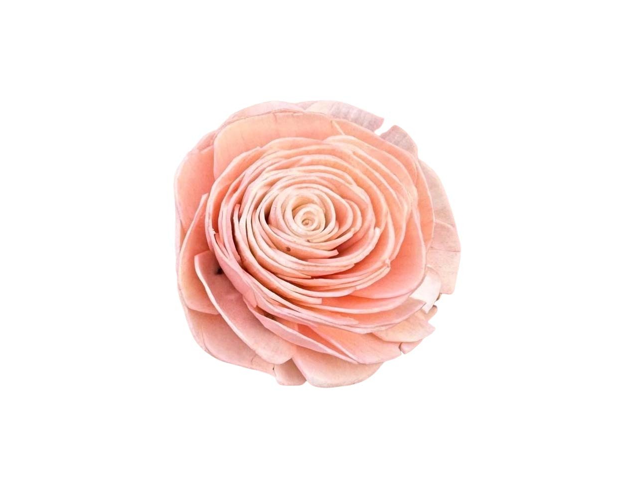 Rose Sola am Draht D8cm peach