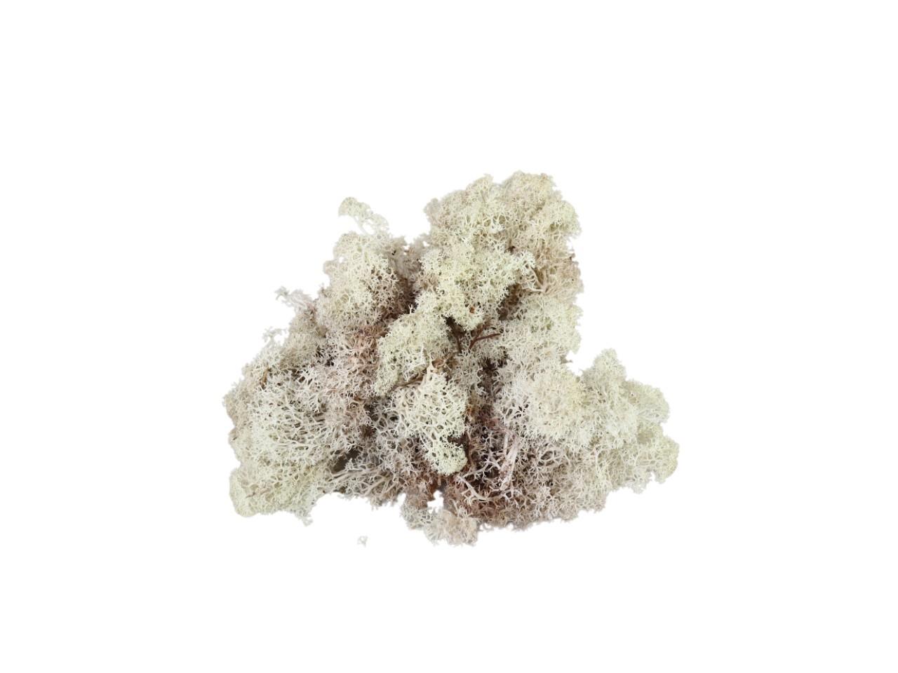 Islandmoos 500 gr. natur