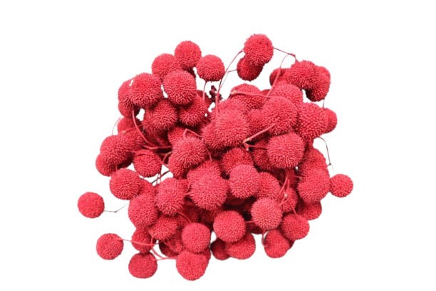 Plantanen Frucht D2,5cm 250gr. rot