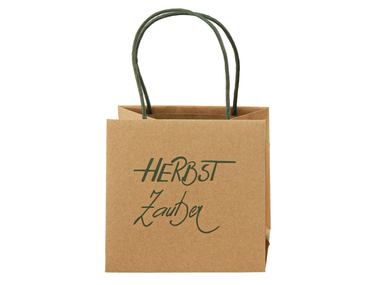 Pflanztasche Herbstzauber Papier natur/grün D14cm