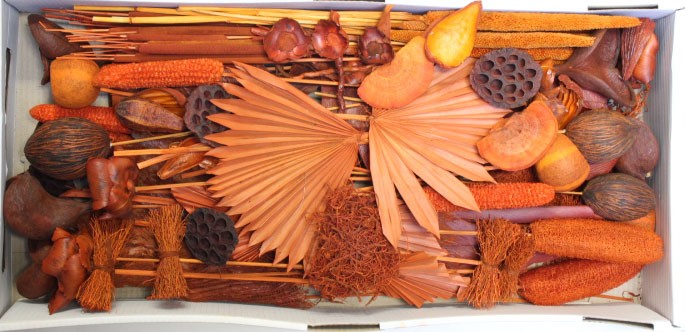 Exotensortiment indisch orange großer Karton