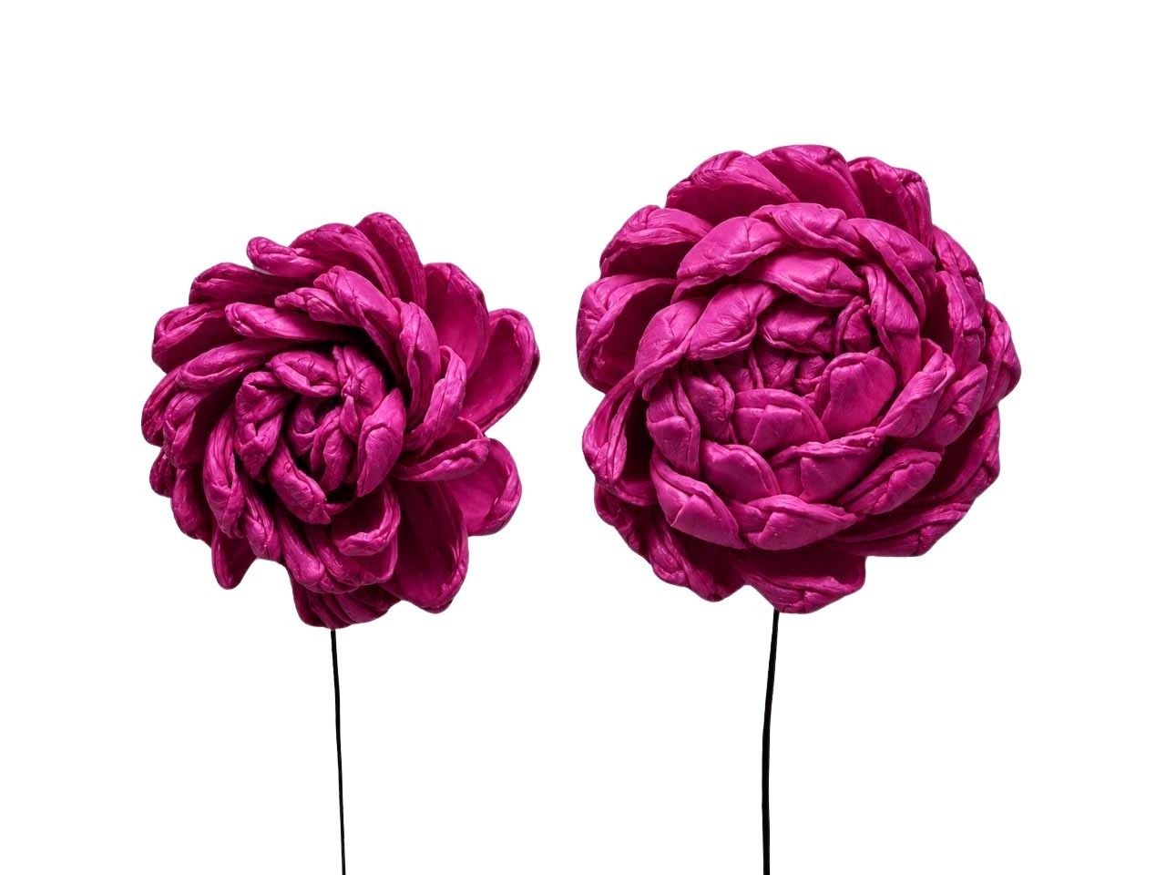 Dahlie Sola am Draht D6-8cm je 18 Stück sortiert magenta
