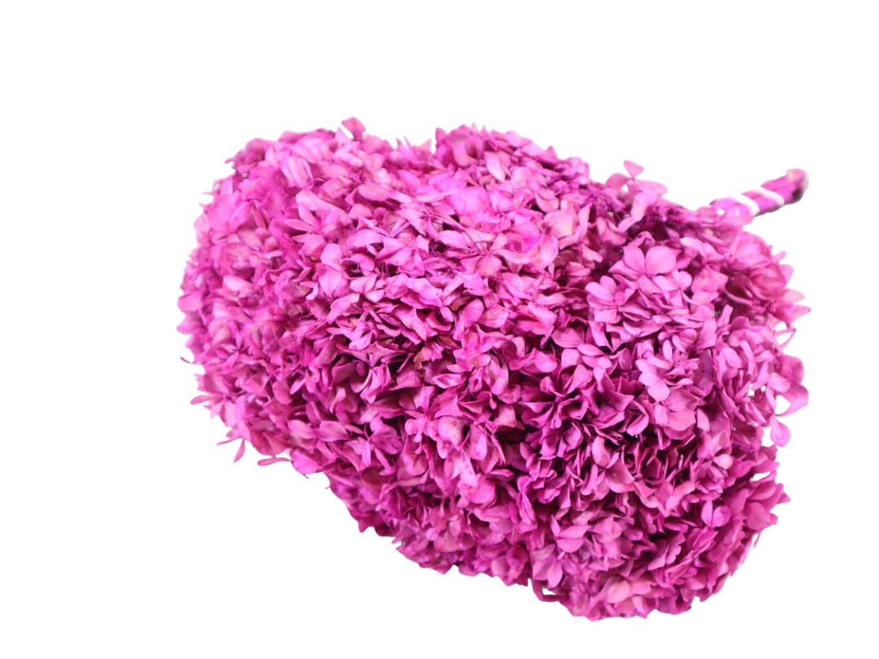 Hortensie getrocknet ca. 70 Gramm Länge ca. 50cm brombeer