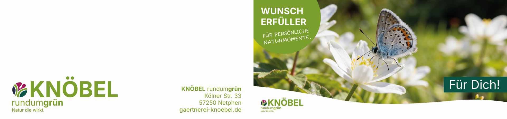 ekaflor Gutschein Wunscherfüller