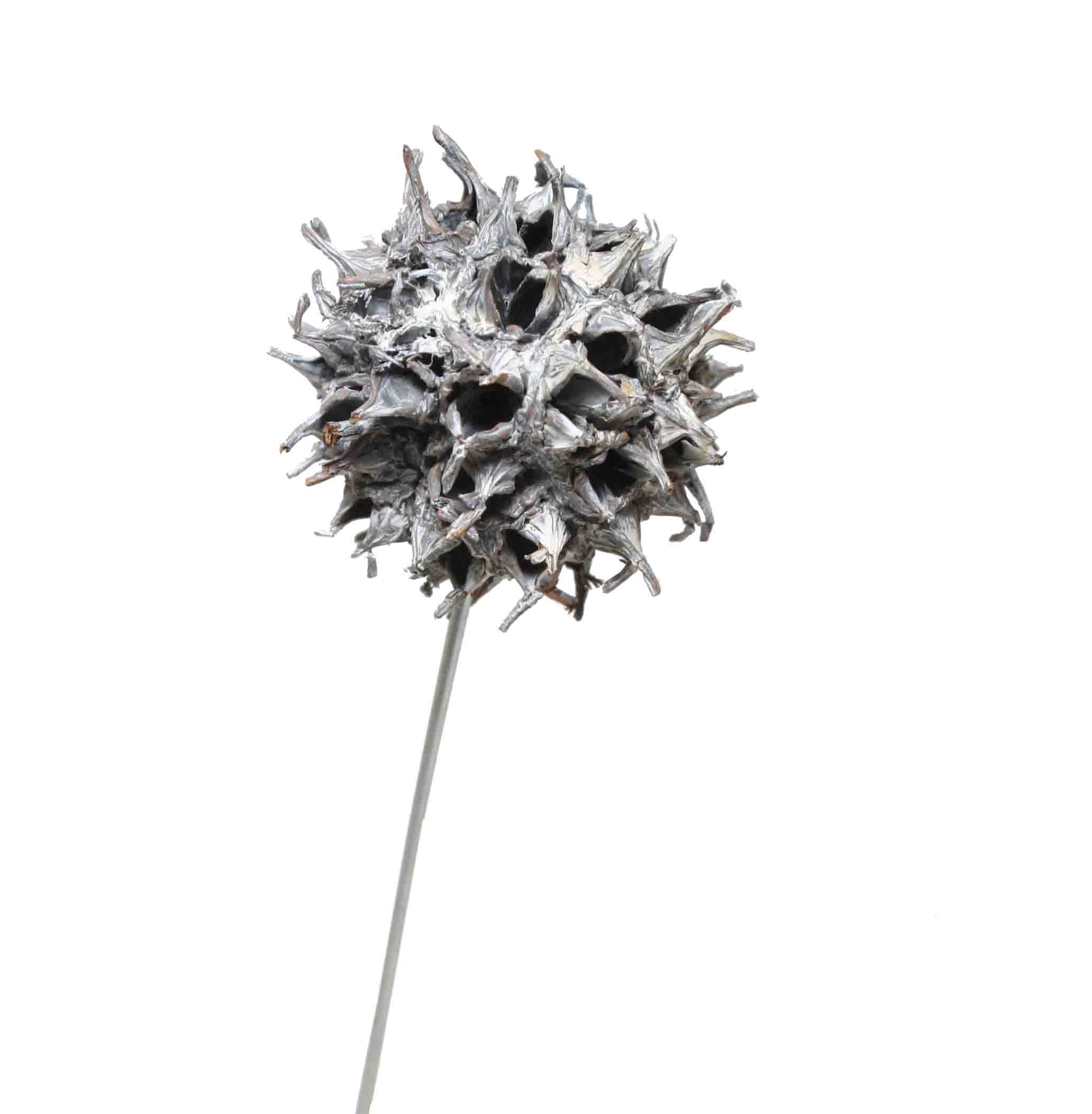 Amberbaum am Draht D2,5-3,5cm white washed