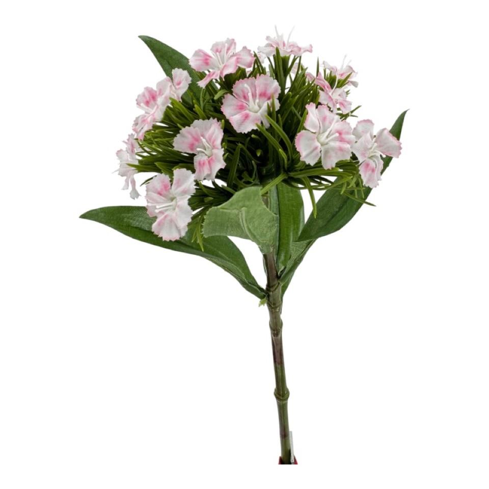 Dianthus Pick 30 cm rosa