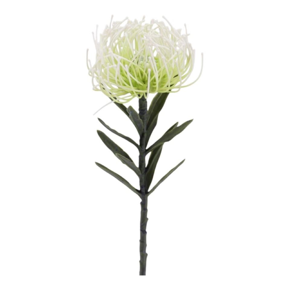 Protea Nadelkissen weiss L53cm