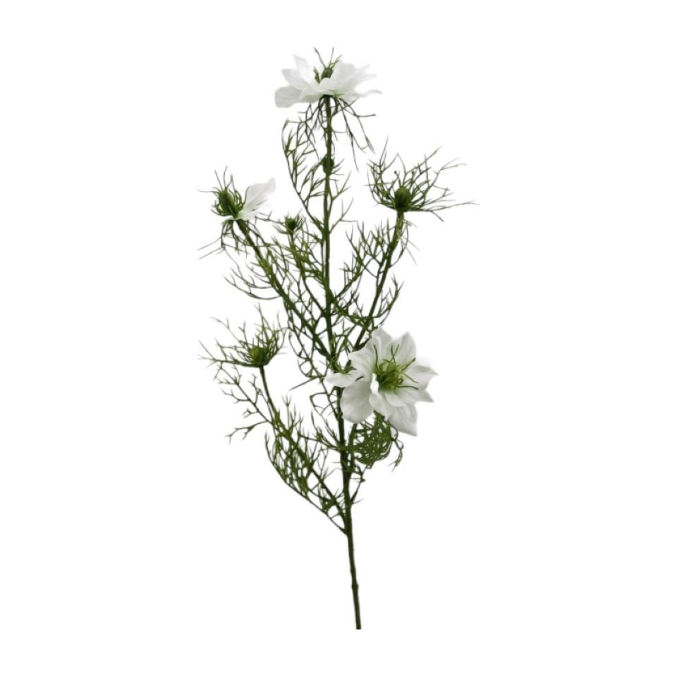 Nigella 70 cm weiss