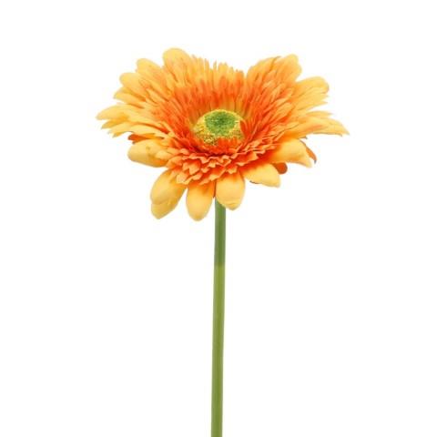 Gerbera 62 cm orange-gelb NETTO