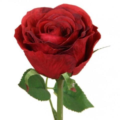 Rosenpick 31 cm burgund