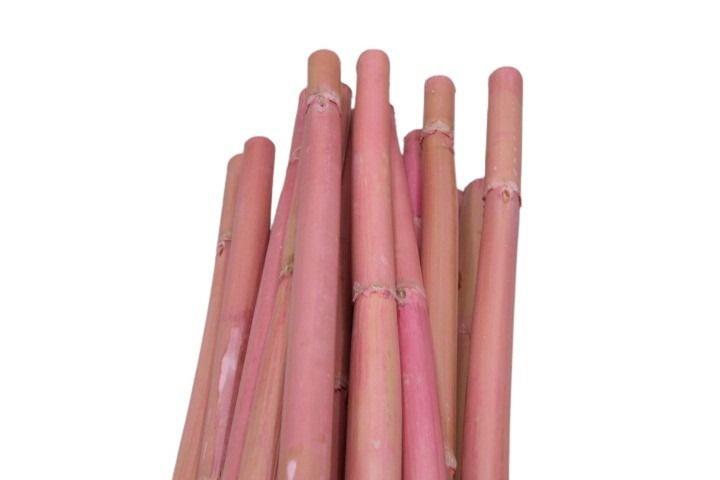 Canna Stiele 1Meter zartrosa109 M
