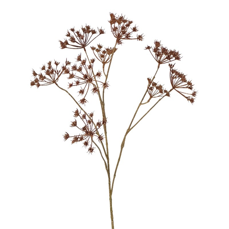 Wiesenkerbel 9Blüten braun L76cm