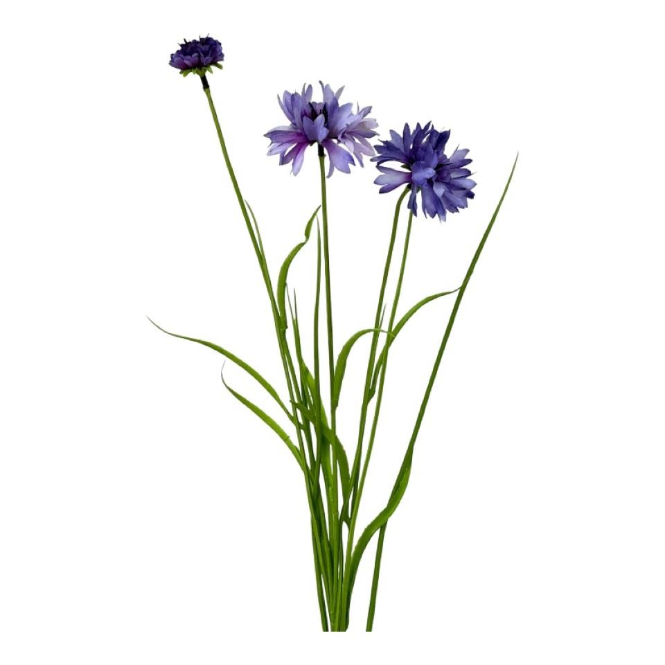 Kornblume m. Gras lila L69cm