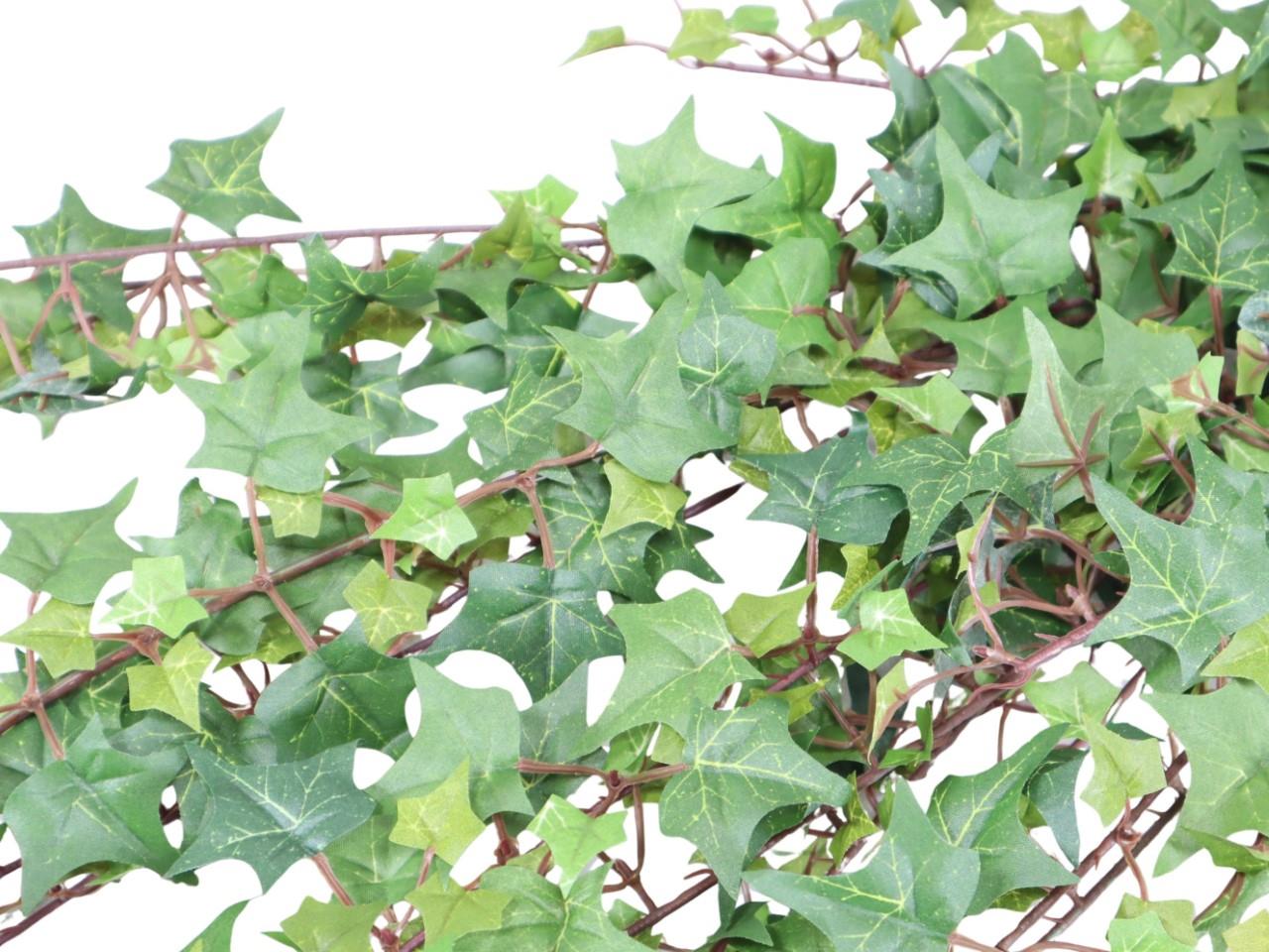 Efeubusch 90 cm, 699 Bl. grün