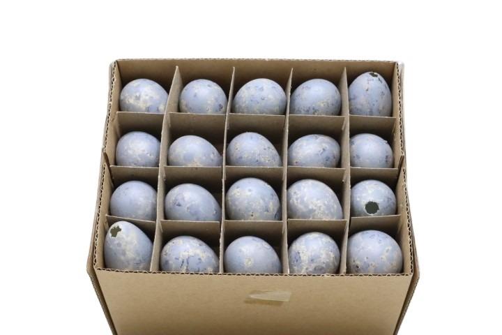 Wachtel Ei grau  = Art. 24577