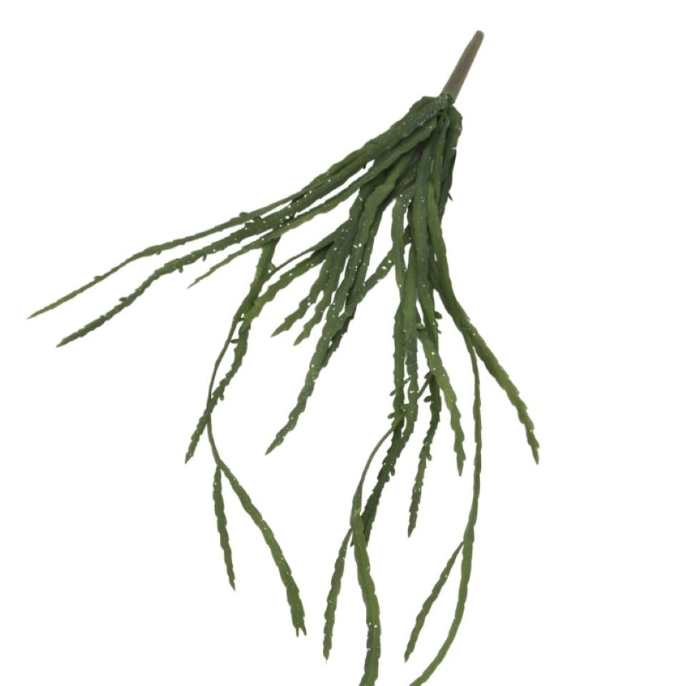 Kaktuspflanze hängend grün L68cm