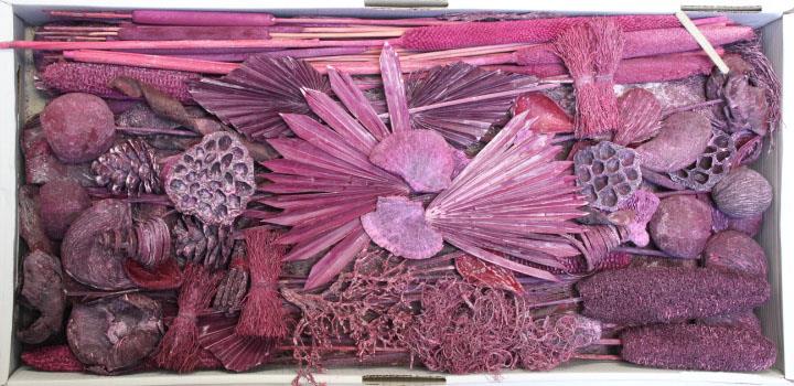 Exotensortiment indisch brombeer frosted großer Karton