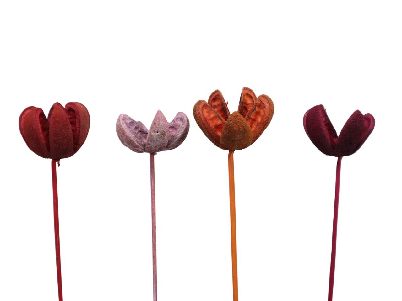 Bullet Blume gestielt D8H4L35cm farbig sortiert