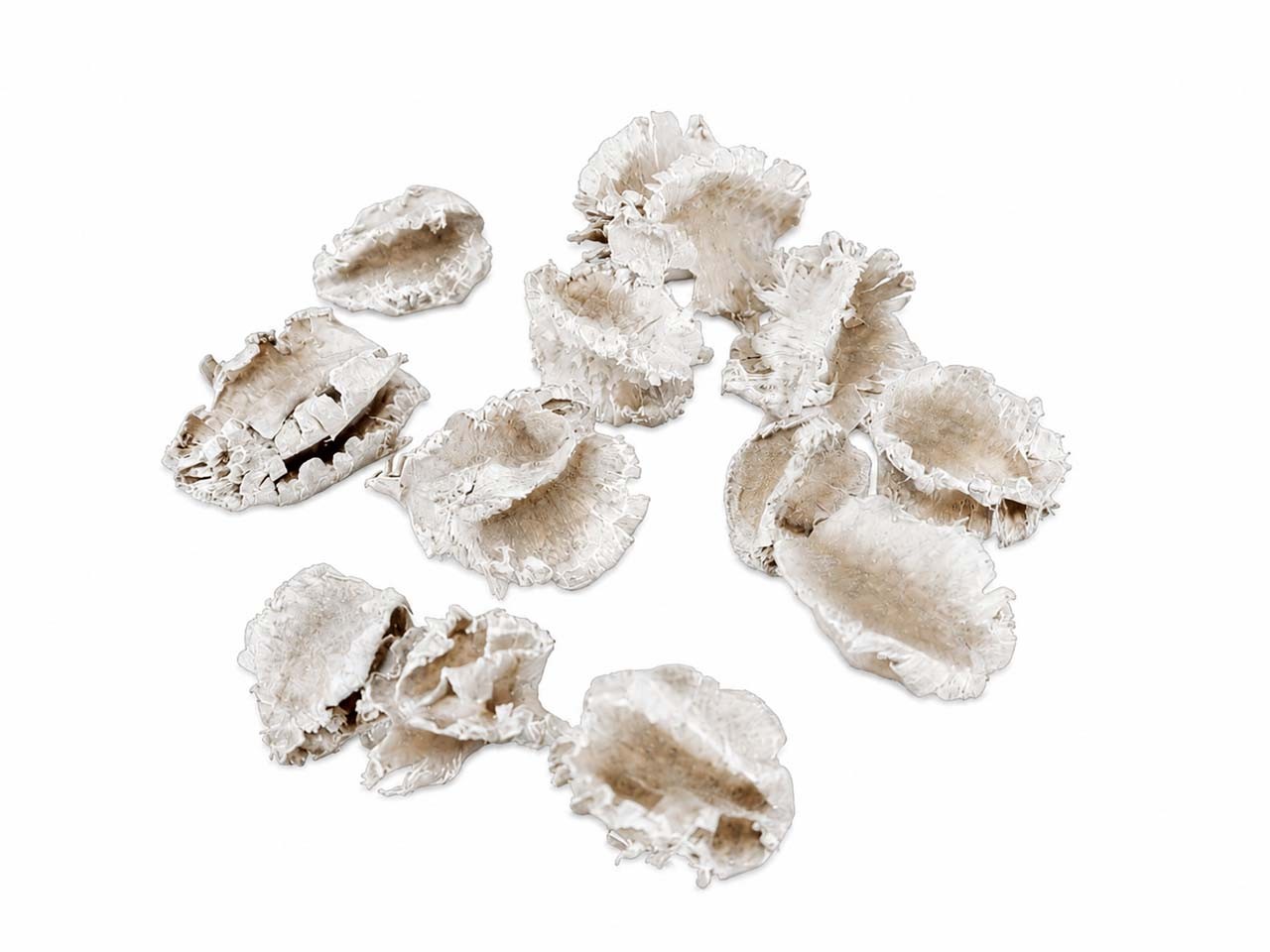 Arjuna Frucht whitewashed 1kg