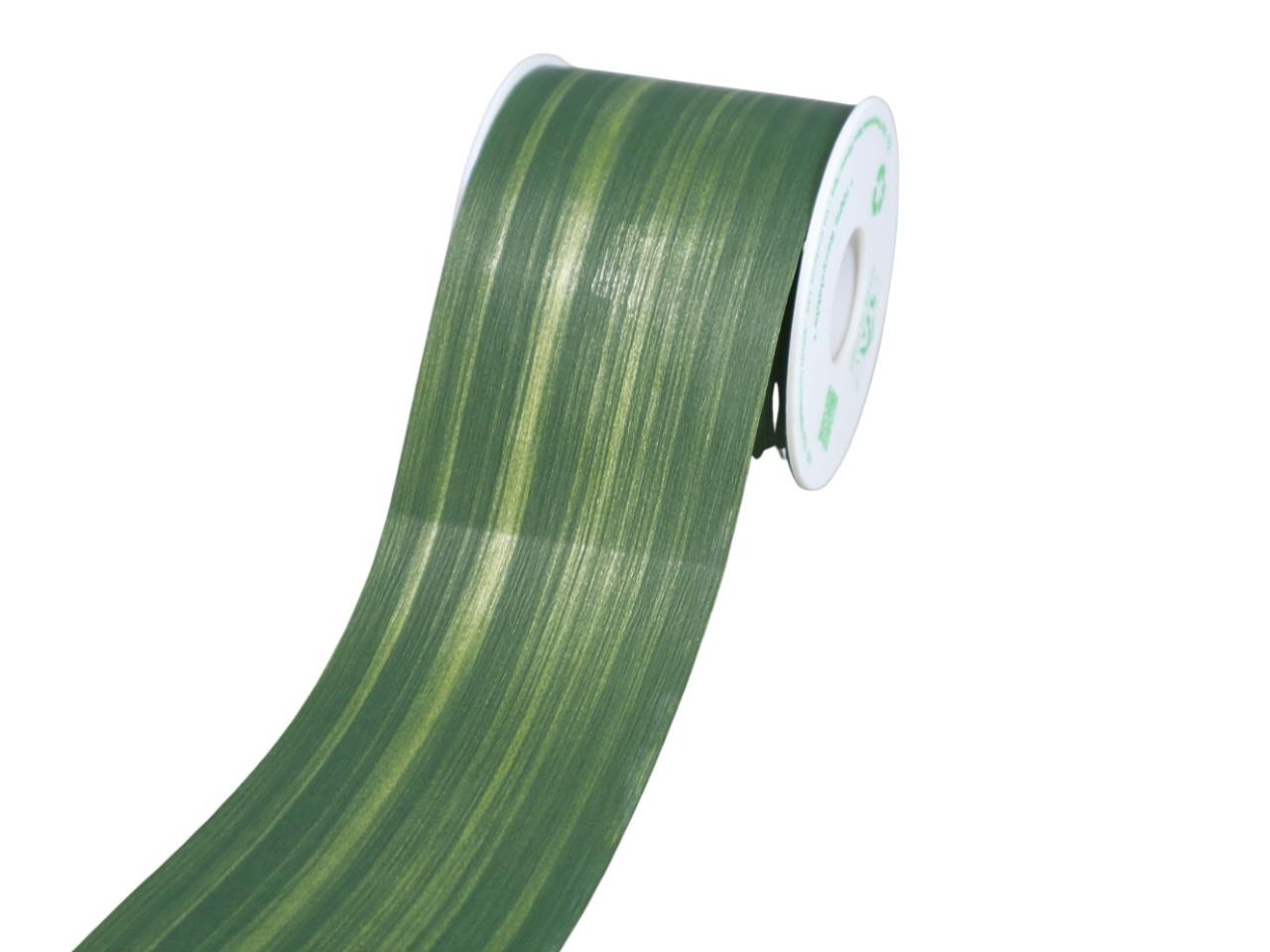 Blattband LEAF grün 75mm 30Meter NETTO