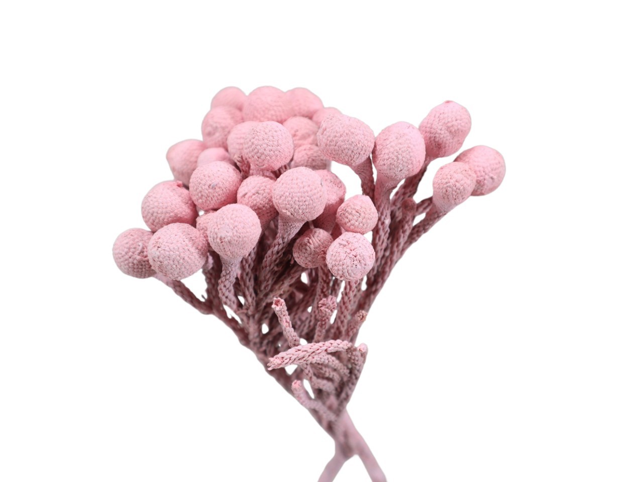 Brunia silver extra altrosa frosted