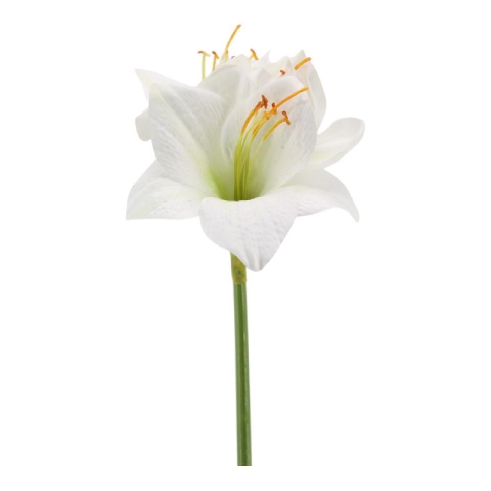 Amaryllis weiß-grün H53cm