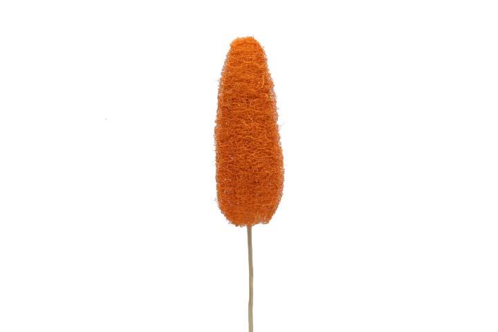 Luffa D4-6 H10-15cm gestielt orange