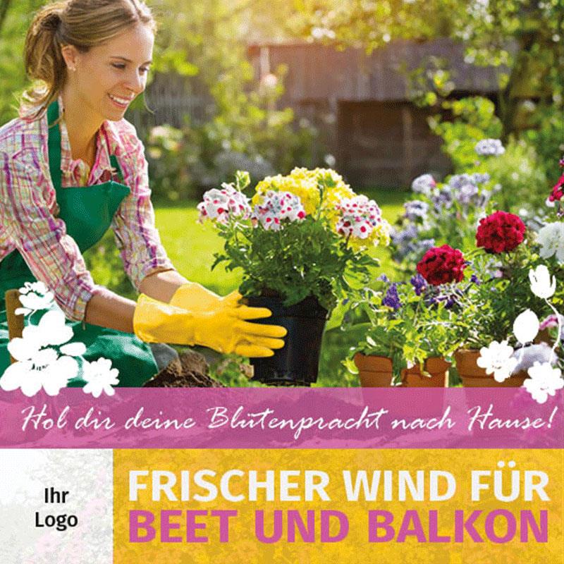 ekaflor Beet u. Balkon 2025 Anzeigenvorlage PDF+JPG