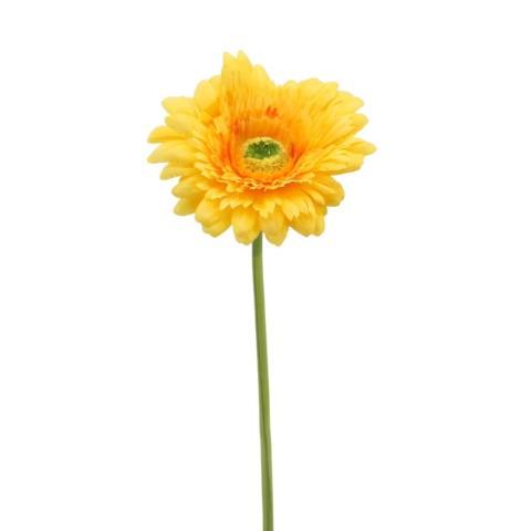 Gerbera 62 cm gelb NETTO