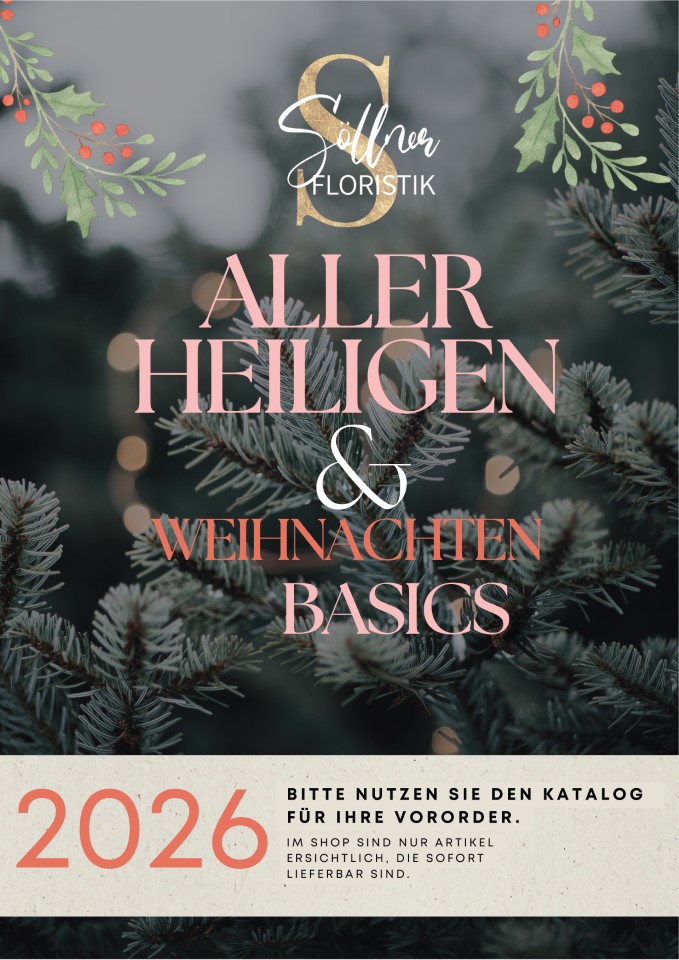 Vororder Katalog 2026