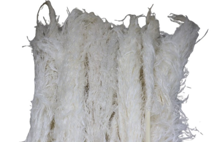 Pampas Afrika gebleicht