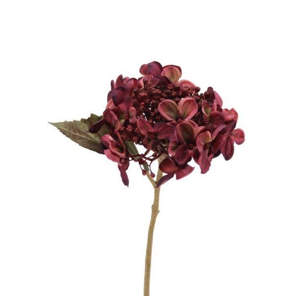 Hortensie 45cm burgund