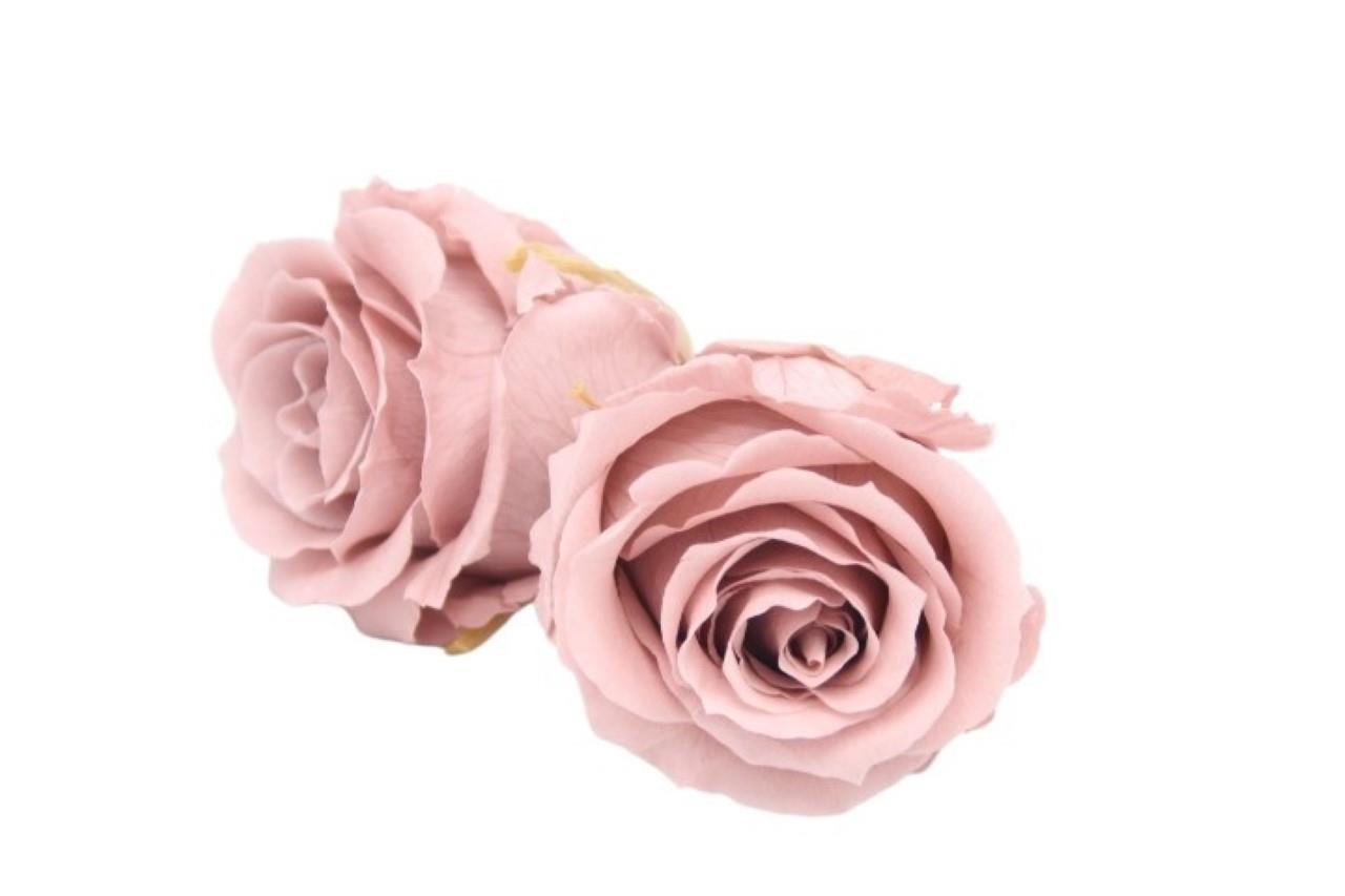 Rose stabilisiert H 5,5 cm D 5,5 cm Cherry vintage NETTO