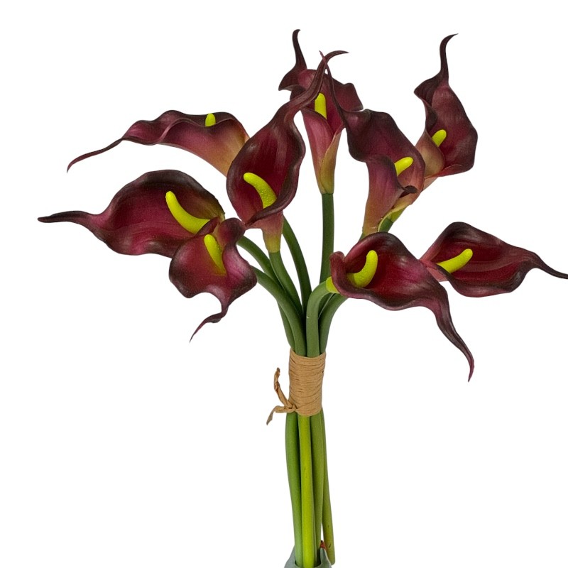 Callabund 9Blüten burgund-purple H28cm