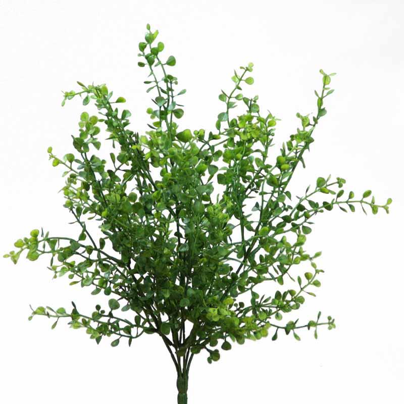 Pfennigkraut Busch 35 cm grün
