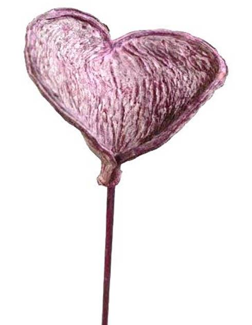 Badam gestielt brombeer frosted