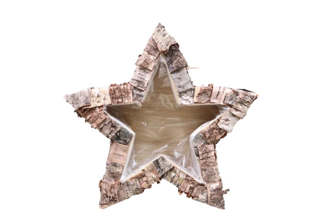 Pflanzgefäß Sternform Birkenholz natur D30xH7cm