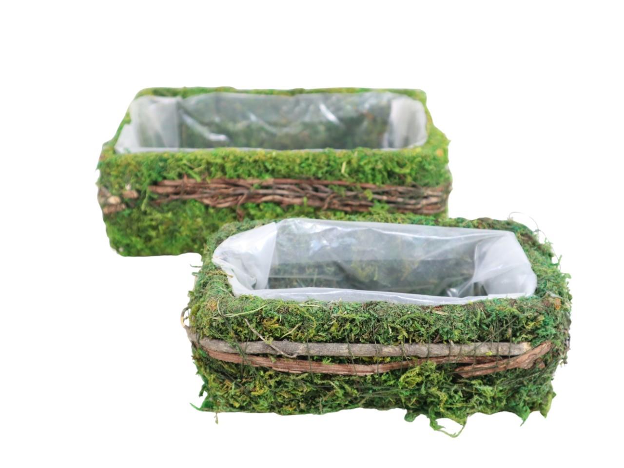 Pflanzkasten Set/2 Moos grün L21+16 B15+11 H12+10cm