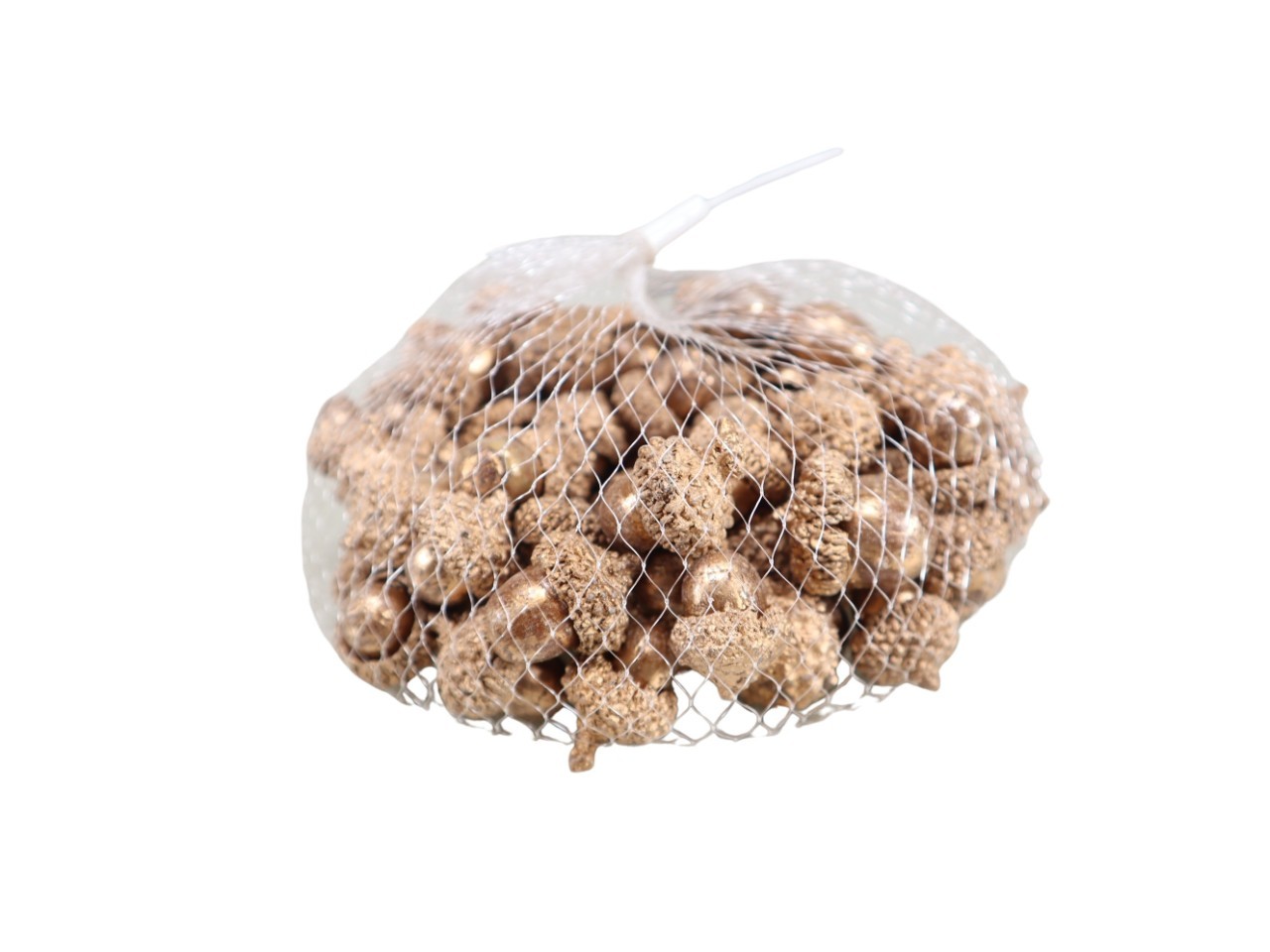 Eicheln getrocknet 2-2,5cm champagner 300g/Netz