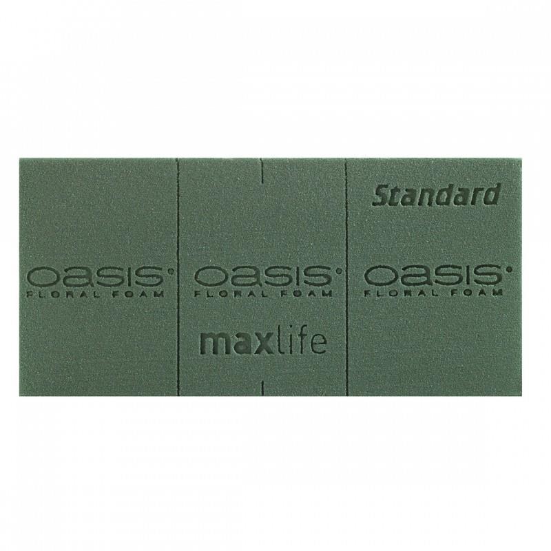 OASIS STANDARD Frischblumensteckschaum  NETTO