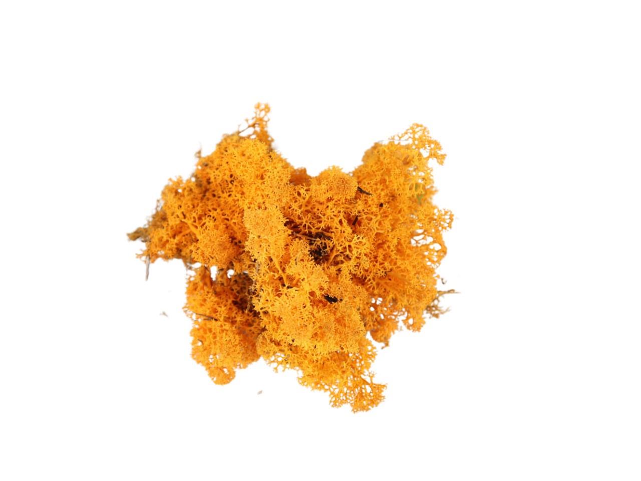 Islandmoos 500gr. orange