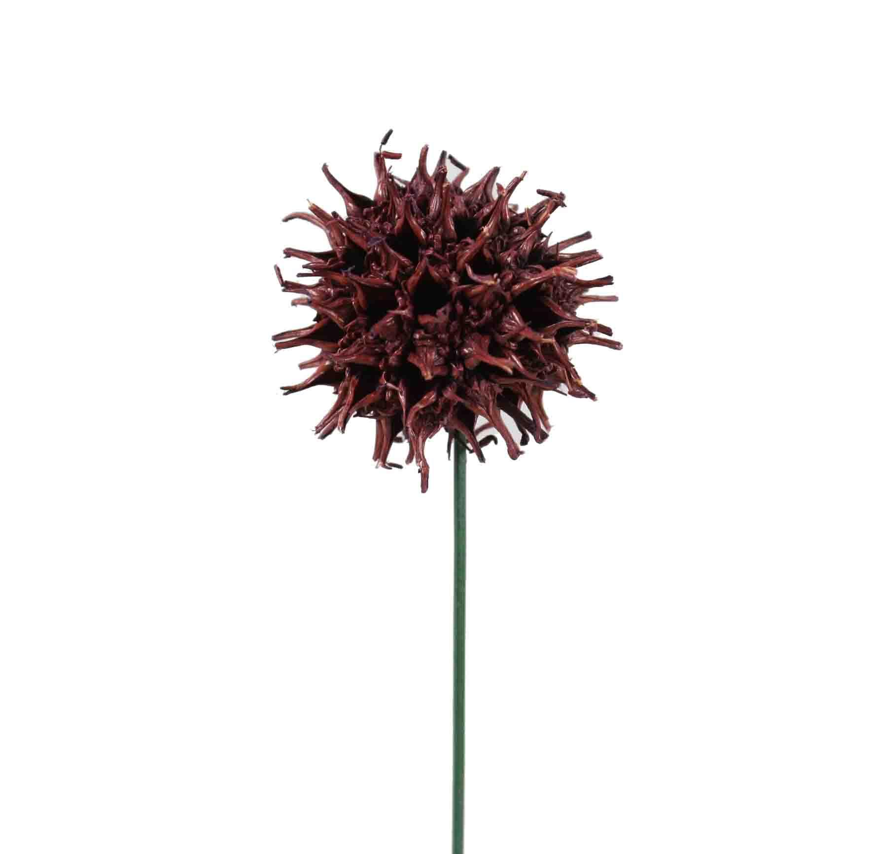 Amberbaum am Draht D2,5-3,5cm brombeer frosted