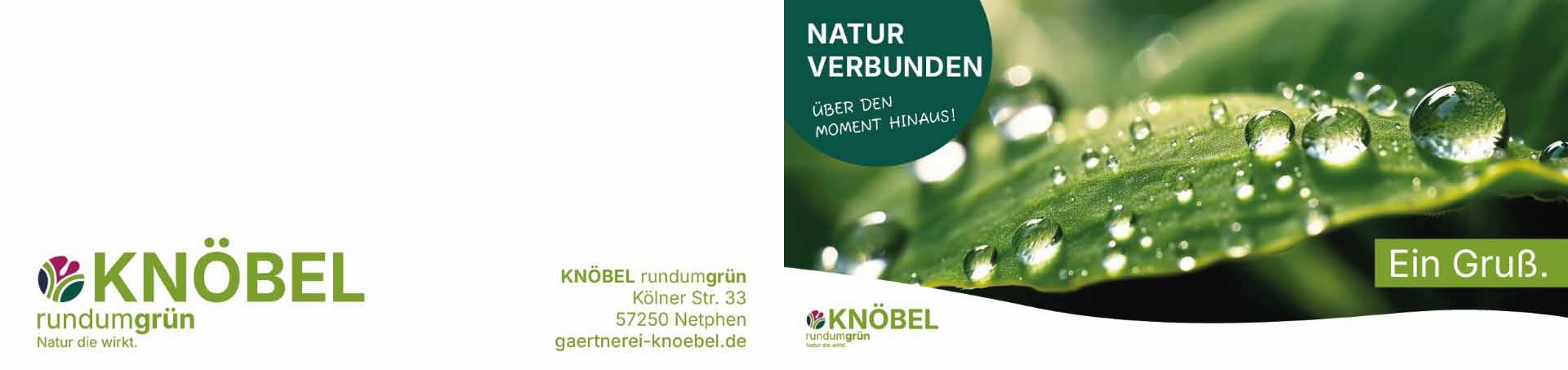 ekaflor Gutschein Naturverbunden