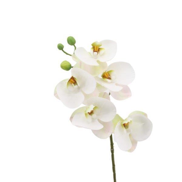 Phalaenopsis/Orchideenrispe creme H40cm