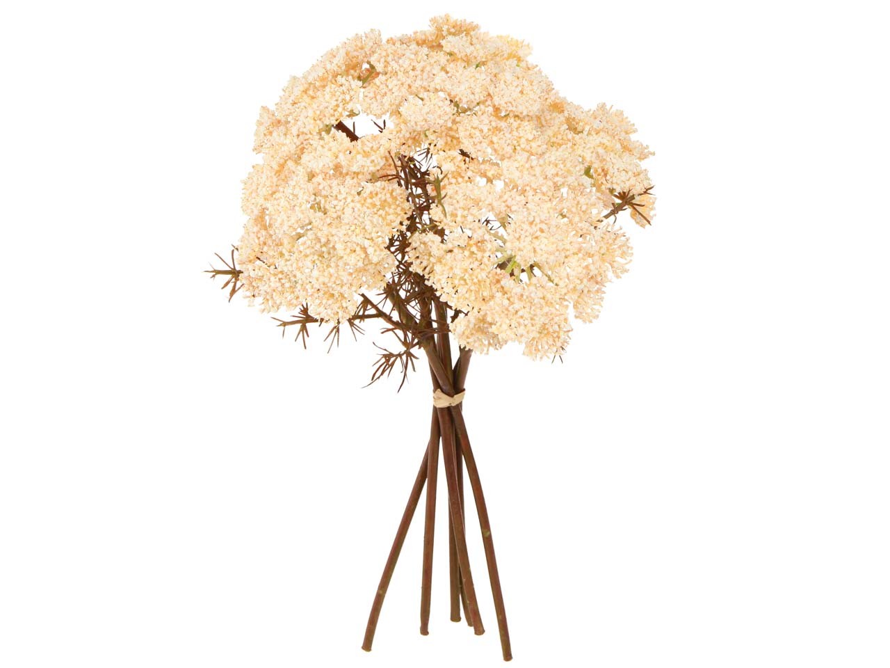 Schafgarbenpick 6 Blüten creme L30cm
