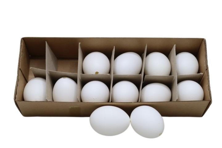 Hühnerei weiß = Art. 2984